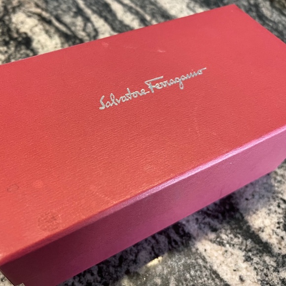 Salvatore Ferragamo SF600S Sunglasses main image 9